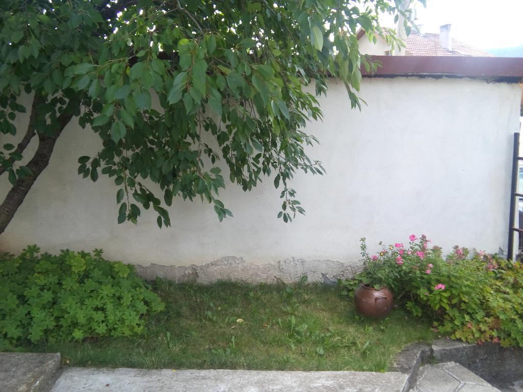 Guest House Ahp Mala Tsŭrkva Εξωτερικό φωτογραφία