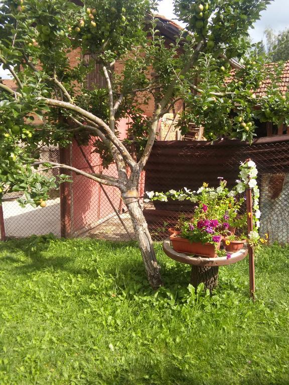Guest House Ahp Mala Tsŭrkva Εξωτερικό φωτογραφία