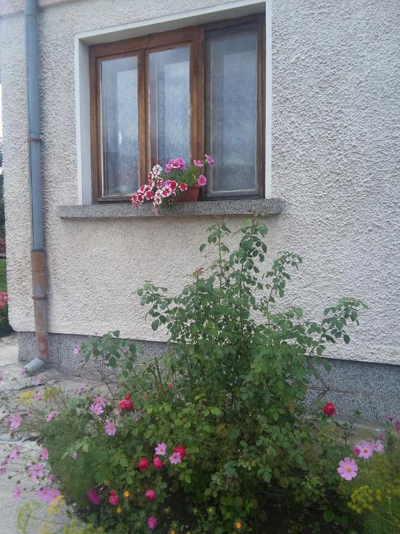 Guest House Ahp Mala Tsŭrkva Δωμάτιο φωτογραφία